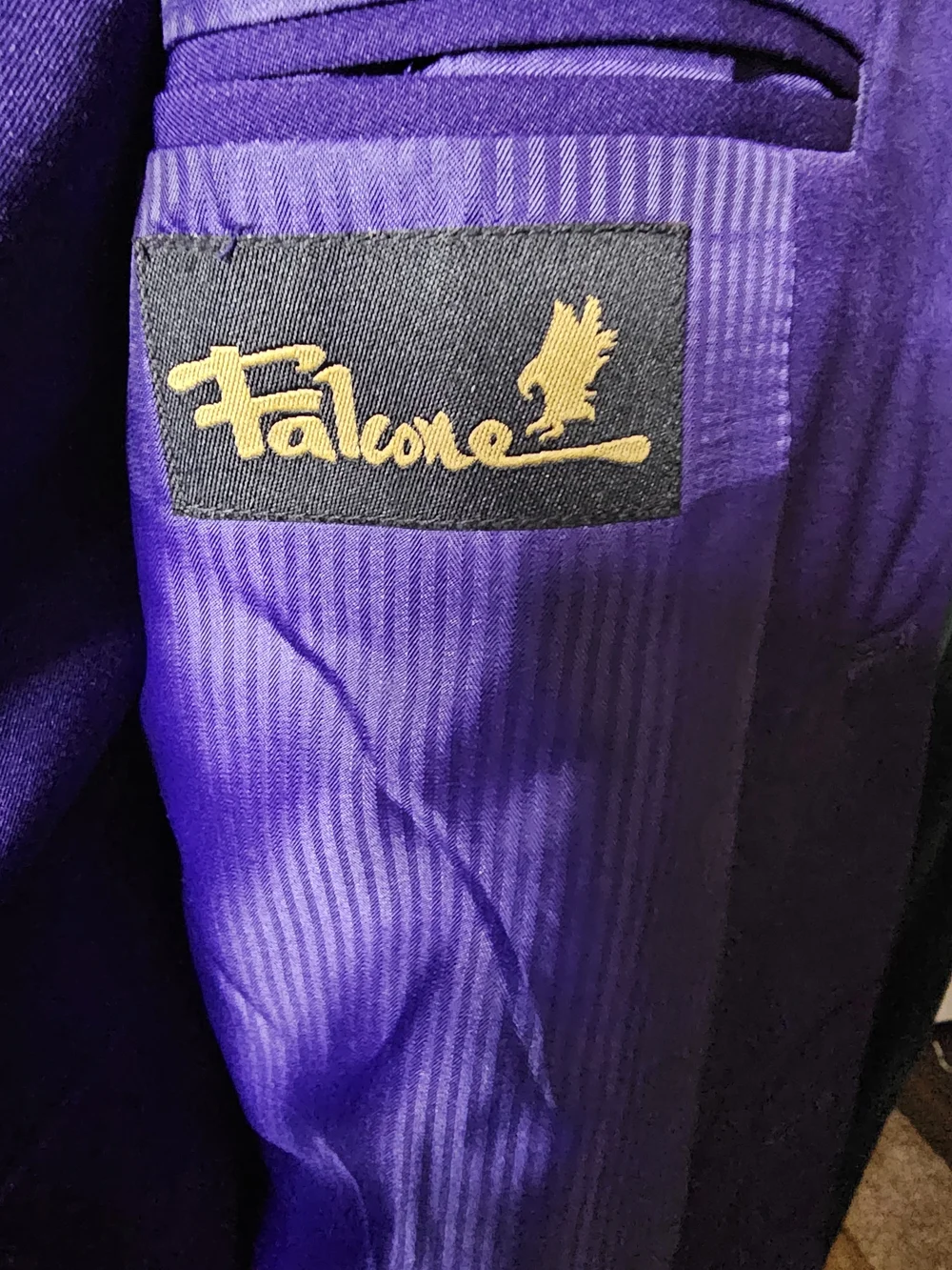 Falcone Purple Men's Vest And Jacket - Elegant Formal To  Art Gallery Reception